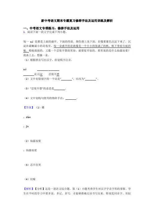 新中考语文期末专题复习修辞手法及运用训练及解析