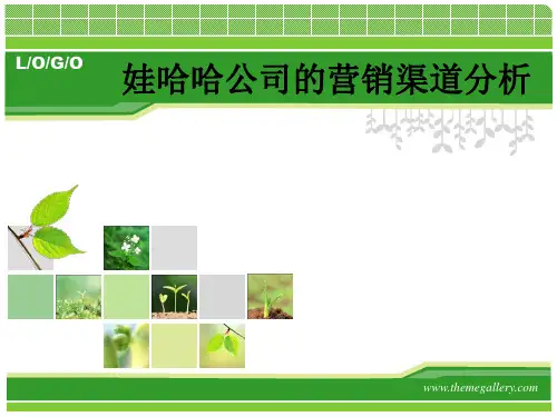 娃哈哈公司的营销渠道分析