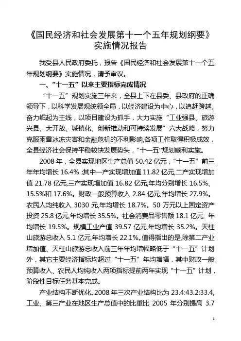 十五规划纲要情况报告