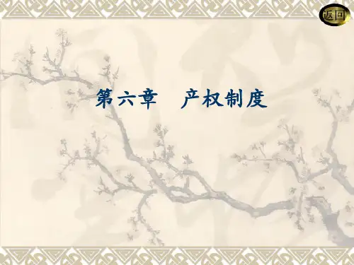 第六章 产权制度
