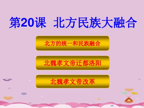 北方民族大融合ppt1 人教版