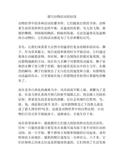 描写动物活动的好段