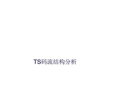 TS码流分析.ppt