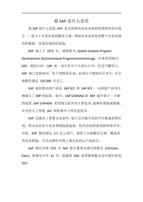 做SAP是什么意思