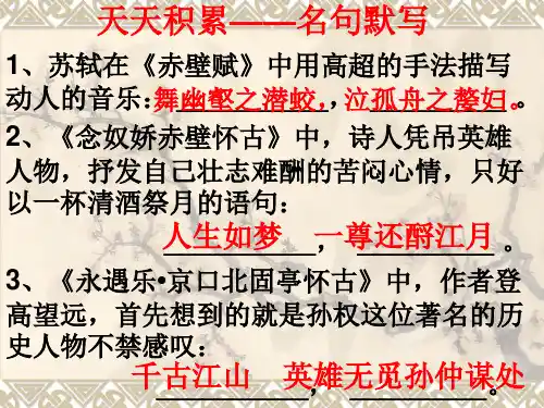 2021 高考标点符号复习PPT