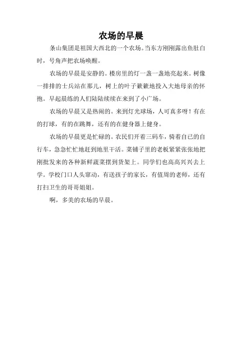 农场的早晨