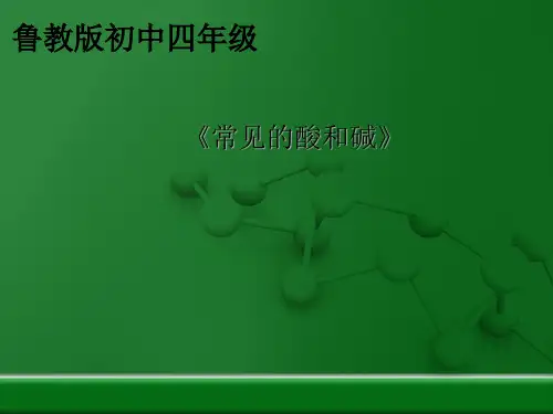 鲁教版初中化学九年级全册 常见的酸和碱课件(27张PPT)