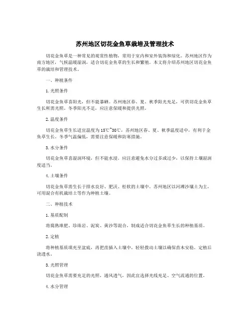 苏州地区切花金鱼草栽培及管理技术