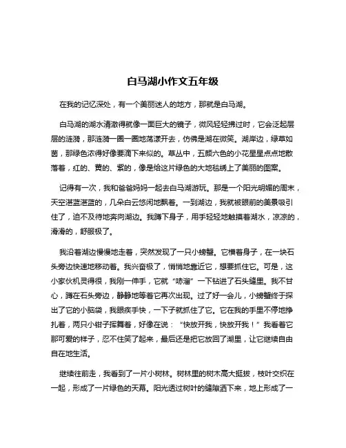 白马湖小作文五年级