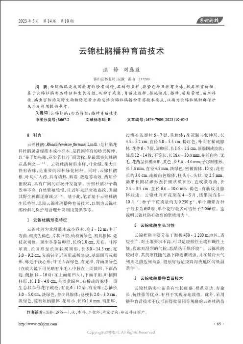 云锦杜鹃播种育苗技术