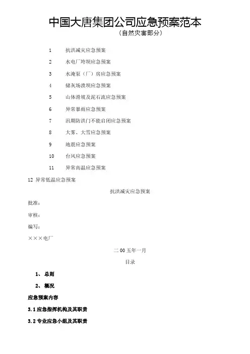 中国大唐集团公司应急预案范本 (1)