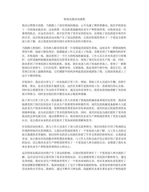 牧场实践活动感想