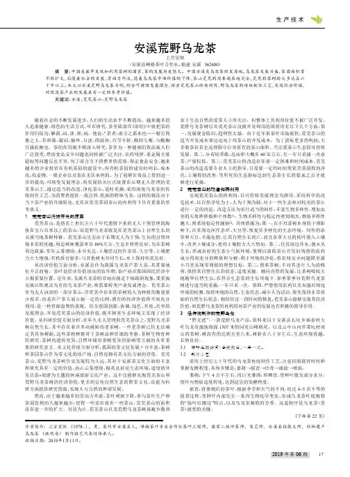 安溪荒野乌龙茶