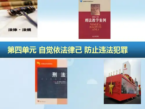预防般违法行为课件