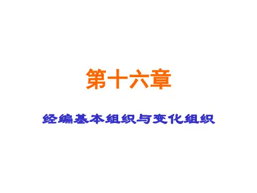 第十六章 经编基本组织与变化组织