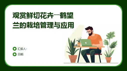 观赏鲜切花卉――鹤望兰的栽培管理与应用