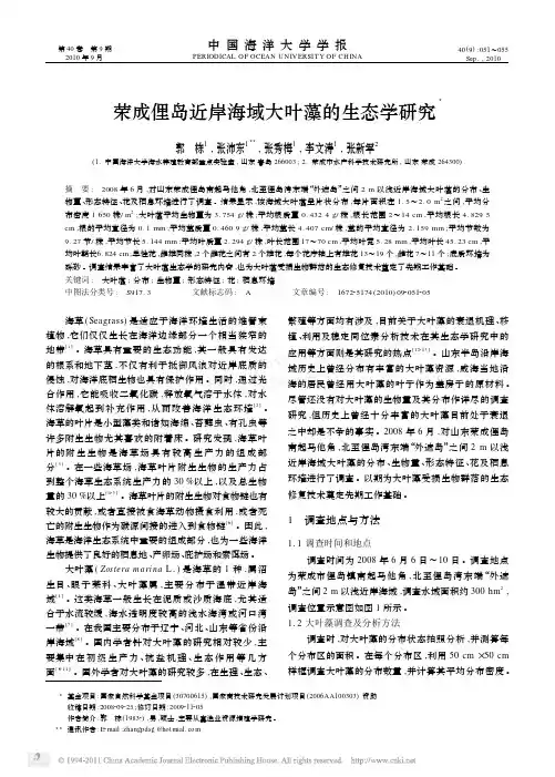 荣成俚岛近岸海域大叶藻的生态学研究
