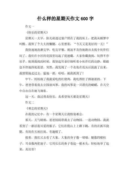 什么样的星期天作文600字