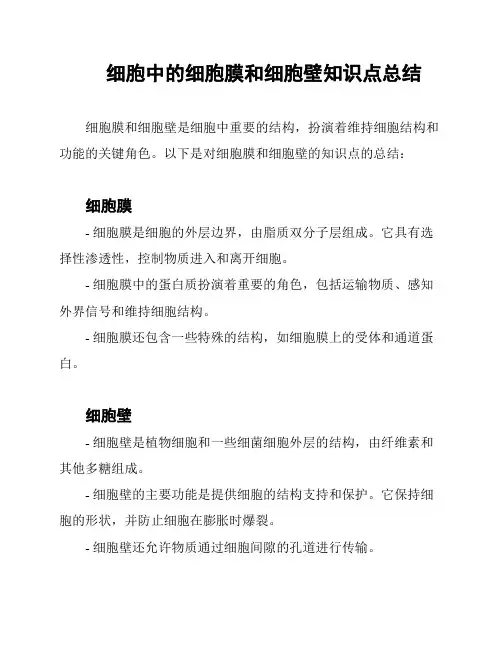 细胞中的细胞膜和细胞壁知识点总结
