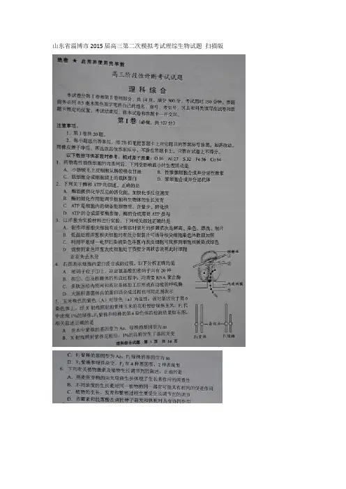 2015高考二模 山东省淄博市2015届高三阶段性诊断考试理综生物试题 扫描版含答案