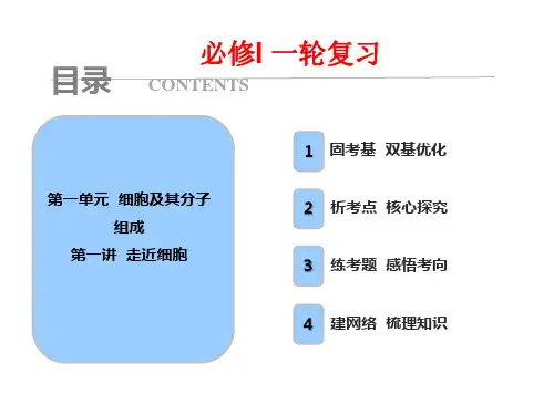 人教版高中生物高三一轮复习：第一单元  细胞及分子组成 第一讲 走进细胞 课件(共24张PPT)