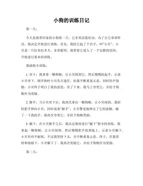 小狗的训练日记