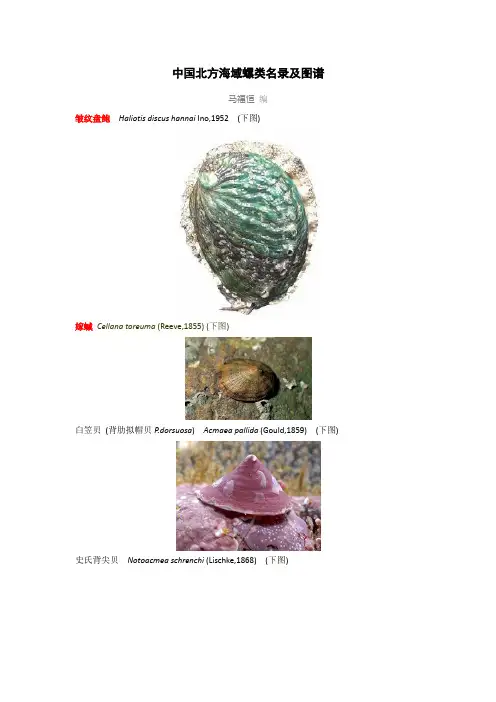 中国北方海域螺类名录及图谱