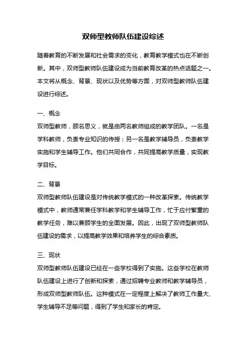 双师型教师队伍建设综述
