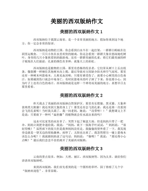 美丽的西双版纳作文 2