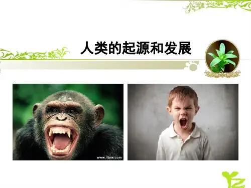 人教版七年级生物课件：4.1.1 人类的起源和发展 (共16张PPT)