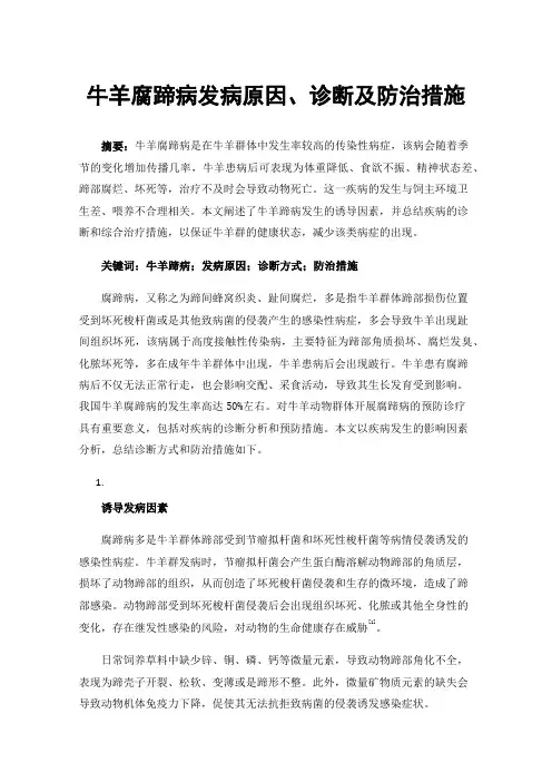 牛羊腐蹄病发病原因、诊断及防治措施