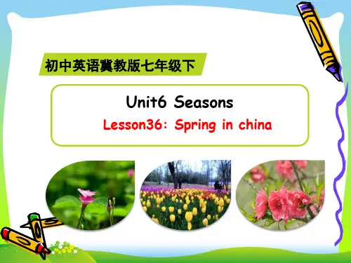 冀教版七年级英语下册Unit6 Seasons Lesson36 精品课件