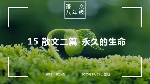 部编版语文八年级上册  散文二篇 课件PPT(附教案、说课稿)