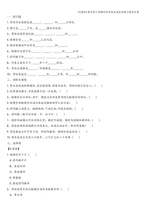 (完整版)第五章人体解剖学男性生殖系统练习题及答案