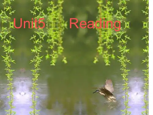 牛津译林版七下：Unit 5 Amazing things  Reading (共20张PPT)
