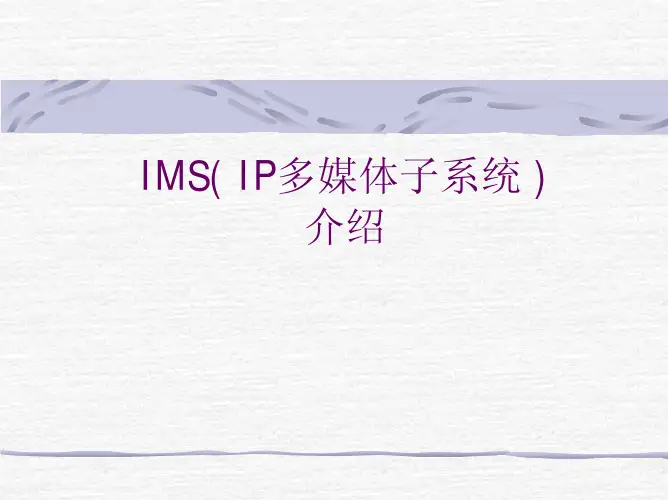 IMS培训资料