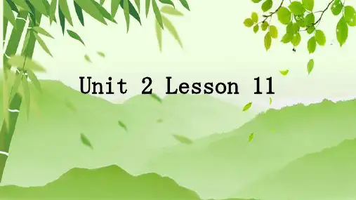 2022-2023学年冀教版英语九年级全册 Unit 2 Lesson 11 课件