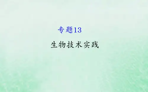 高考生物二轮复习专题十三生物技术实践课件