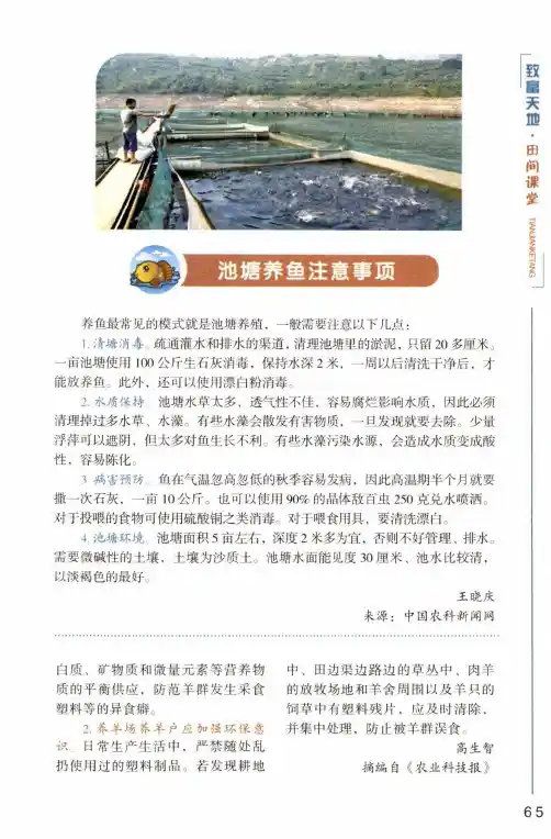 池塘养鱼注意事项