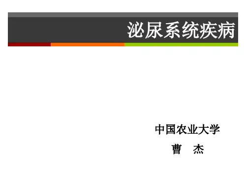 兽医学课件-泌尿器官疾病