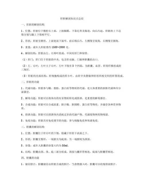 肝胆解剖知识点总结