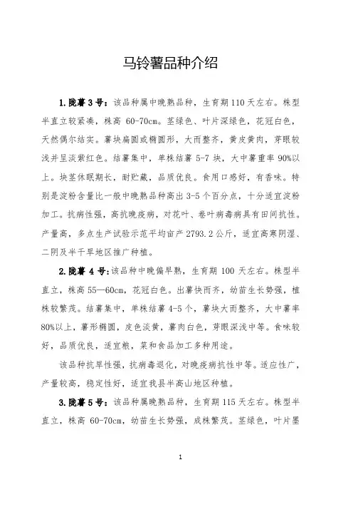 马铃薯品种介绍讲解