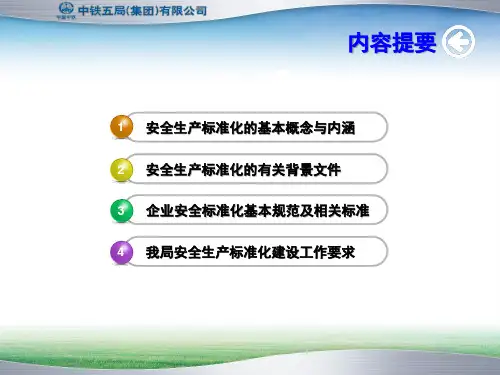 中铁五局安全生产标准化建设培训讲义