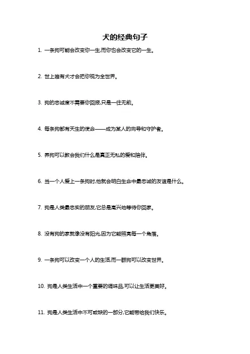 犬的经典句子