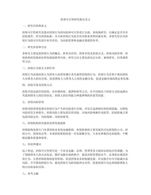 担保可行性研究报告范文