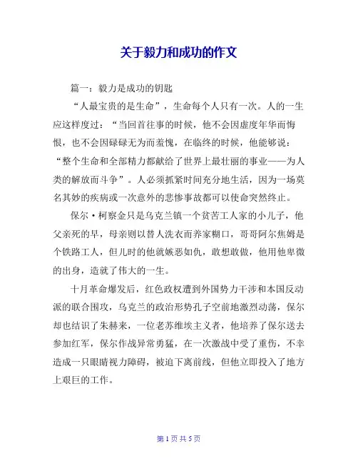 关于毅力和成功的作文