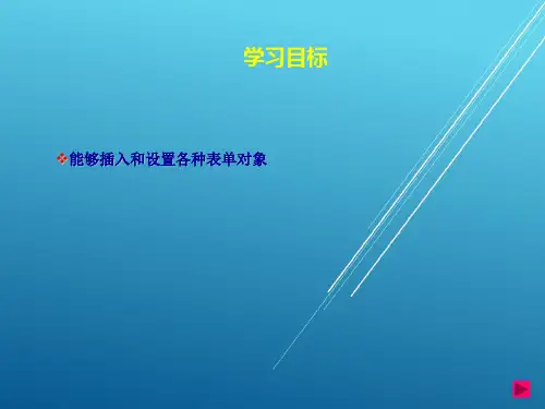 DreamweaverCS5网页制作第4章 表单PPT课件