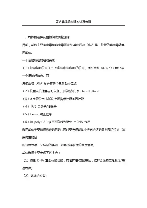 表达载体的构建方法及步骤
