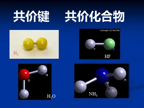 化学 共价键