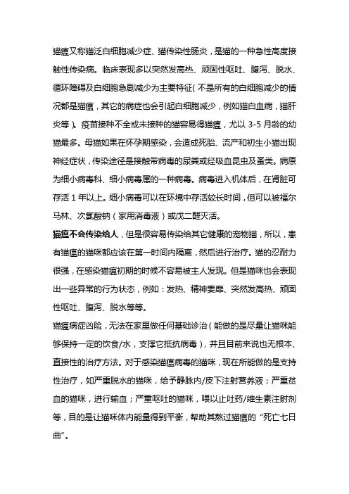 猫瘟会传染人吗 3